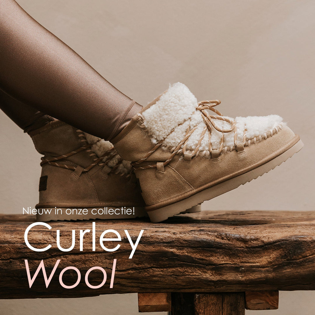 Warmbat Curley Wool