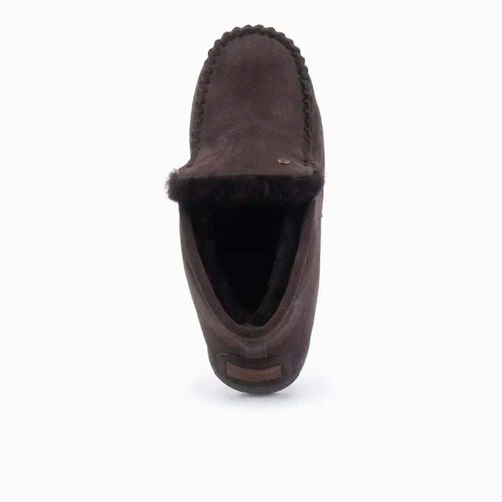 Darwino suède choco thumbnail 2