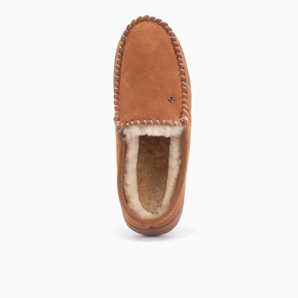 Jabiru Hommes Suède Cognac 2
