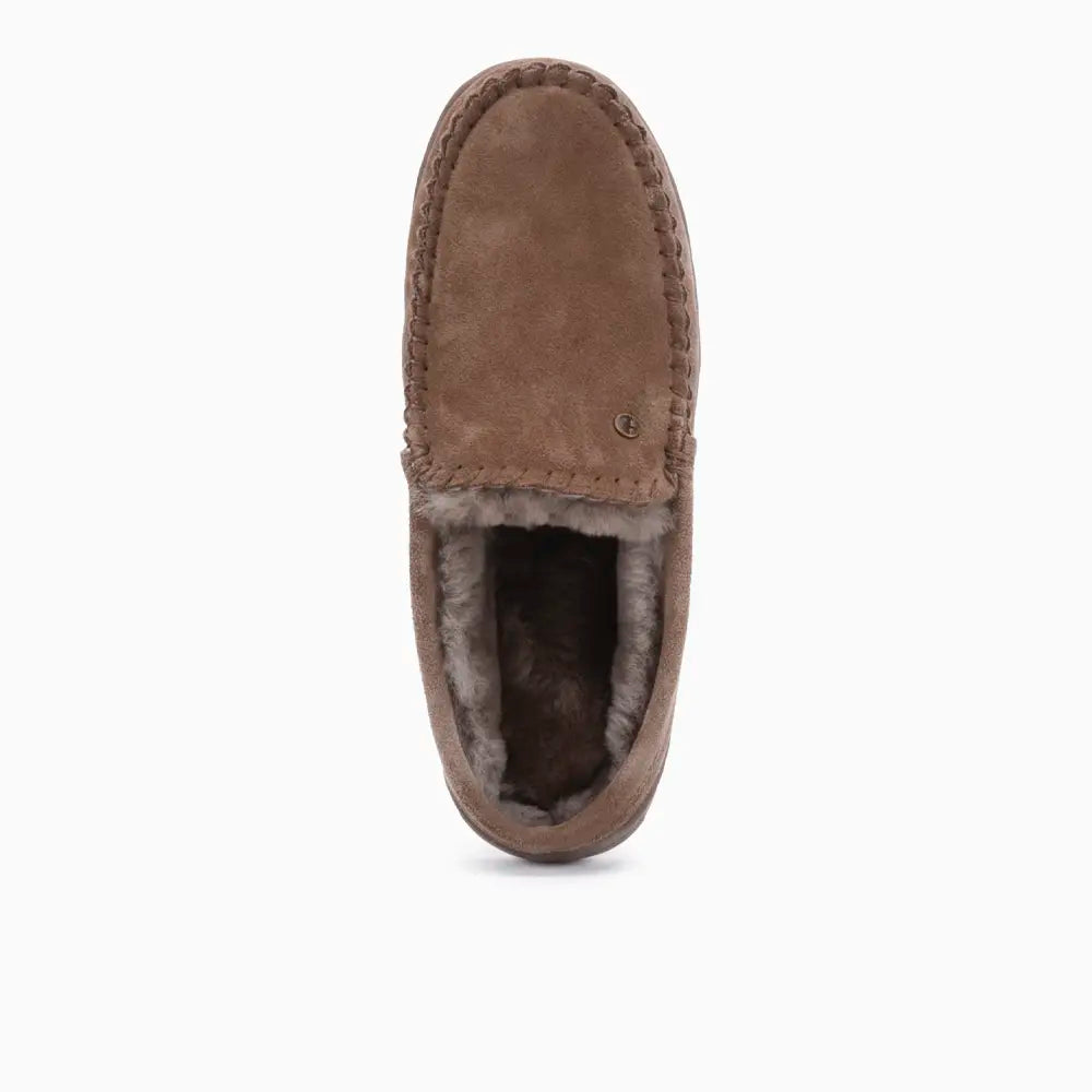 Jabiru Hommes Suède Mud 2