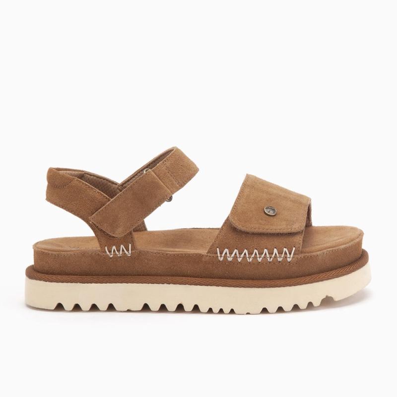 Warmbat Loddon women suéde cognac